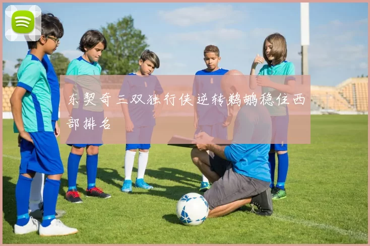 东契奇三双独行侠逆转鹈鹕稳住西部排名