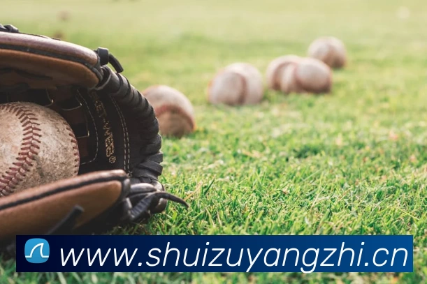 米兰(中国)milan·官方网站 - 登录入口服务体系